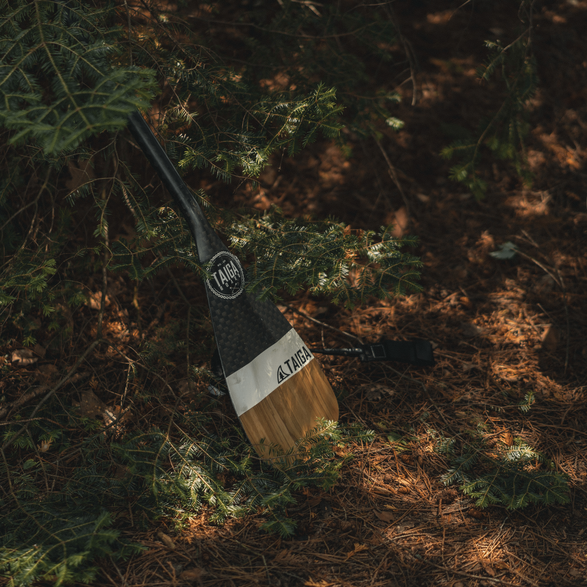 DIAMOND PADDLE - WOOD CARBON 12k - Fix 1 piece